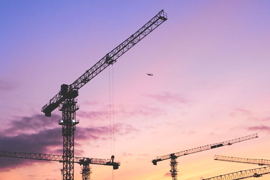 a group of cranes are silhouetted against a purple sky